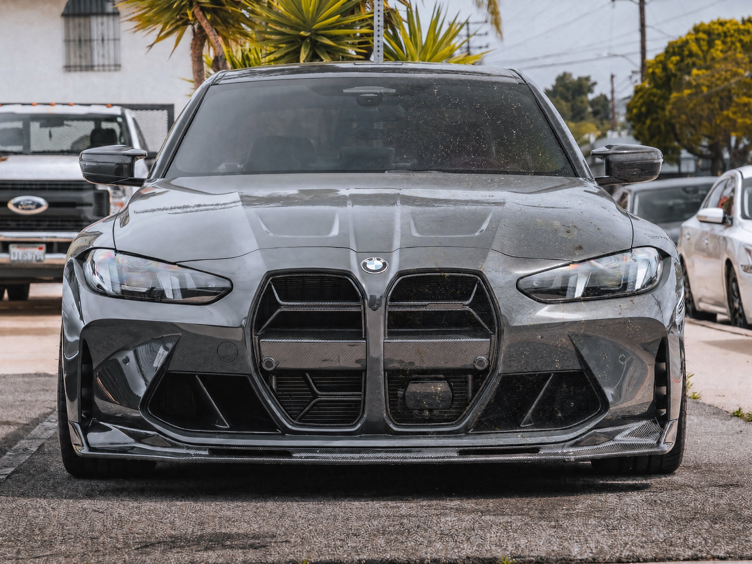 How to Remove Bugs From Your Paint (and Why It Matters)