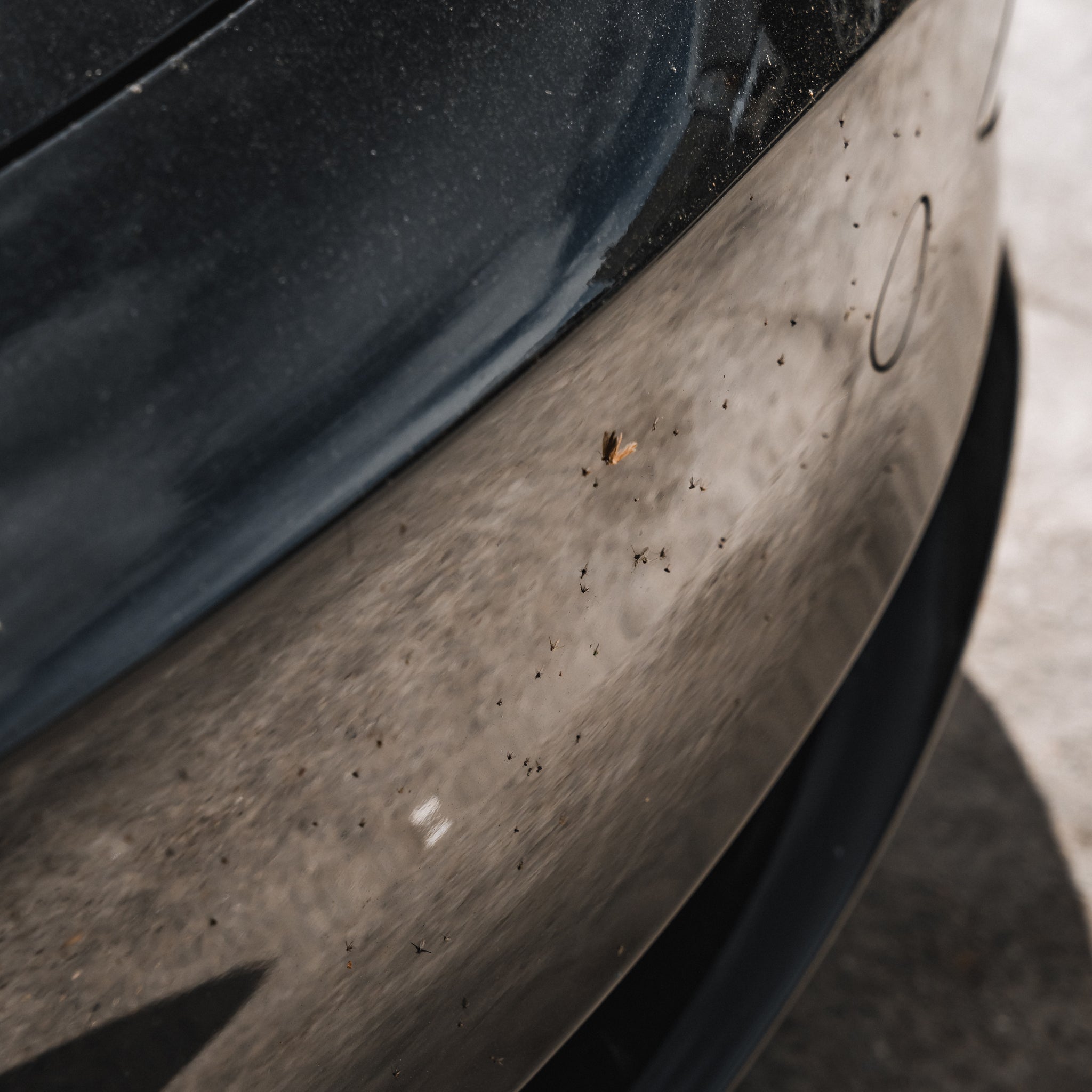 Bug Off - 32oz. w/ Spray Bottle