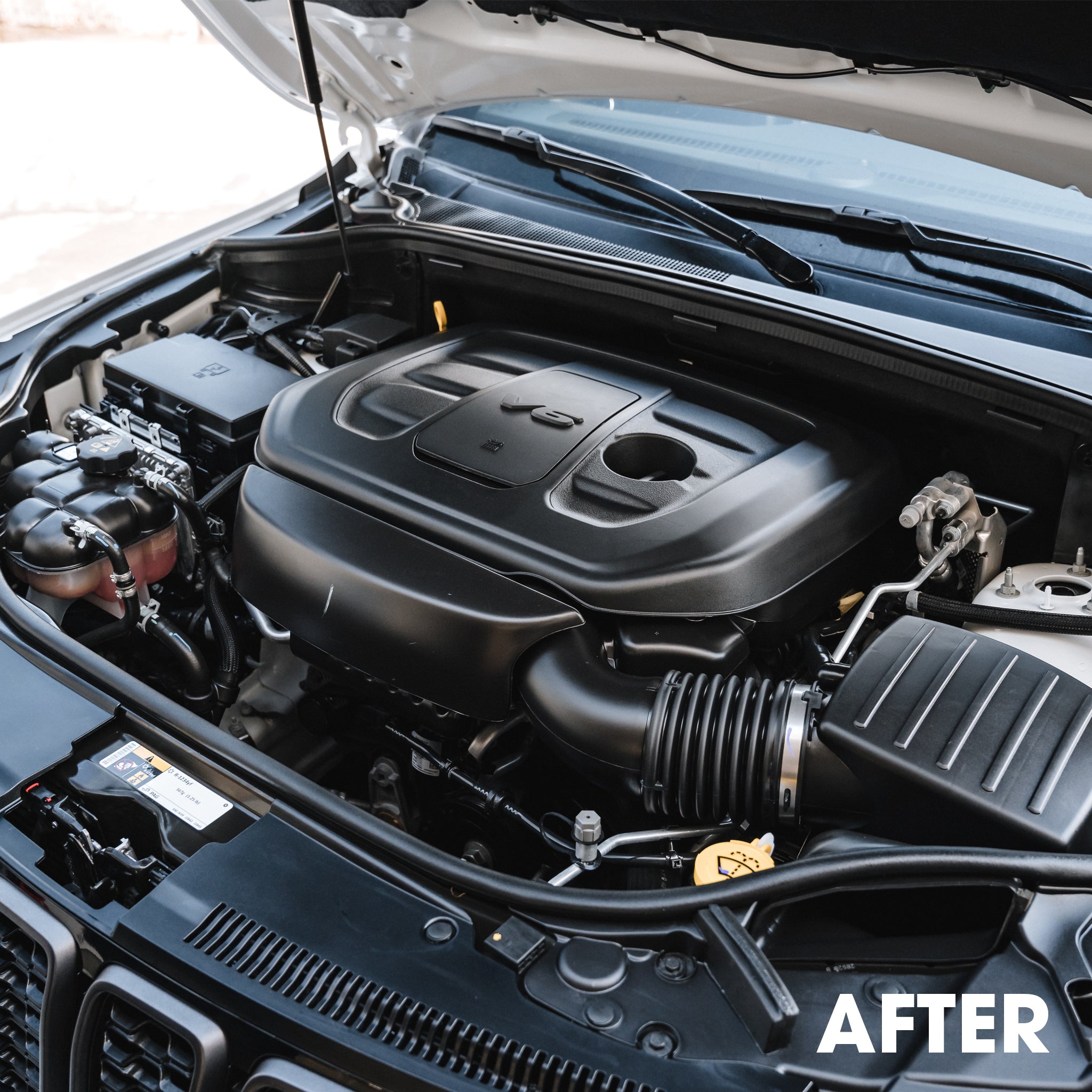 Engine Bay Cleaning & Conditioning Kit