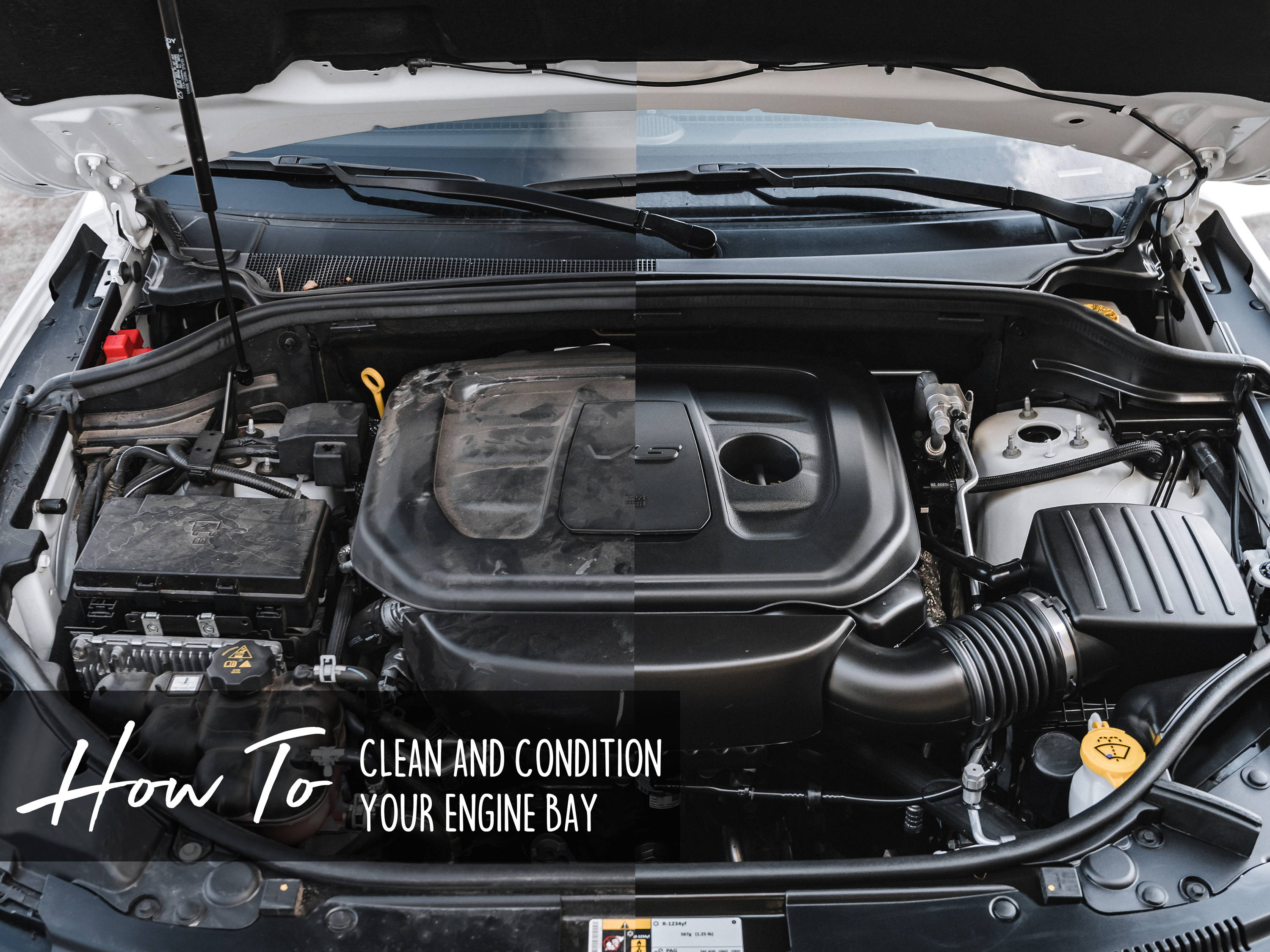 How to properly clean your engine bay!