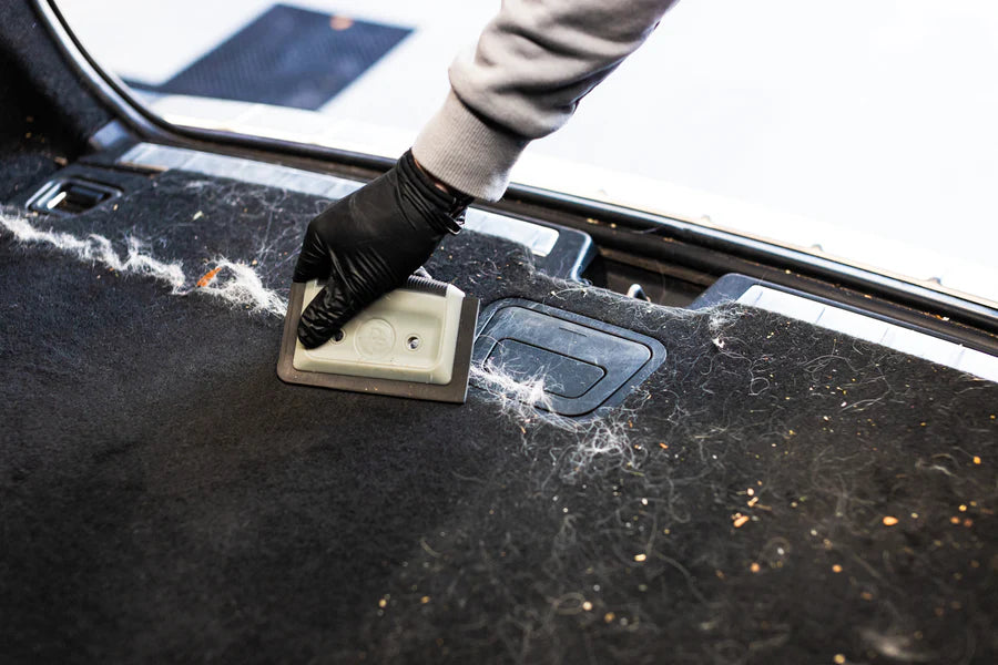 Pet Hair Remover Card